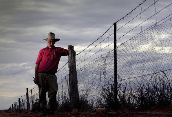 Australian Dog Fence - The Longest Fence In The World