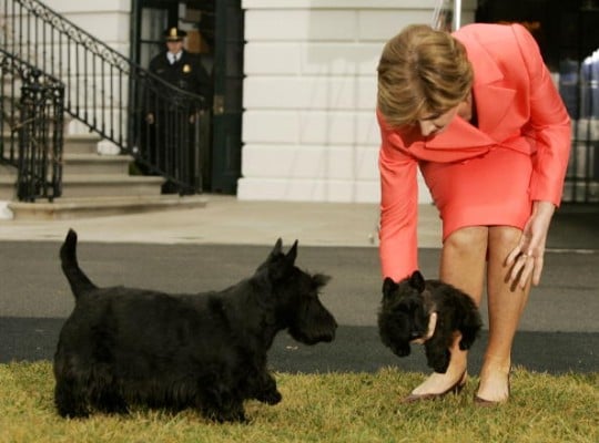 President And Mrs. Bush Show Off New Puppy