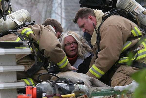 50 Amazing Pictures of Dogs and Firefighters