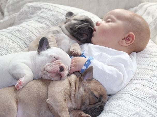 20 Pictures Showing How Awesome Puppies and Babies are Together