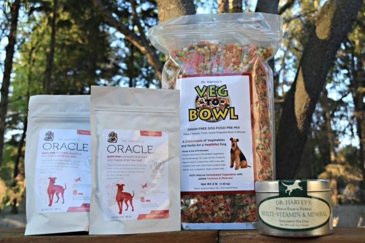 dr harvey's freeze dried dog food