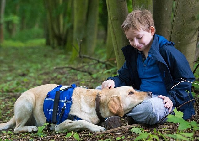 what dog is best for autistic child