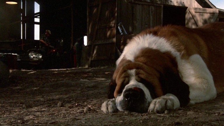 The 20 Scariest Dogs from Movies or TV