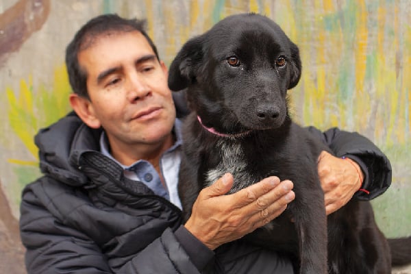 This Is Bolivia’s Dog Savior: Fernando “Ferchy” Kushner