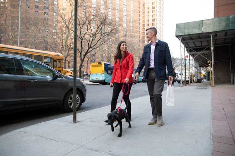 Simultaneous Proposal and Pet Adoption at ASPCA Gives New Meaning to ...