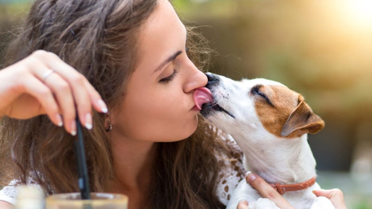 Kissing Your Dog