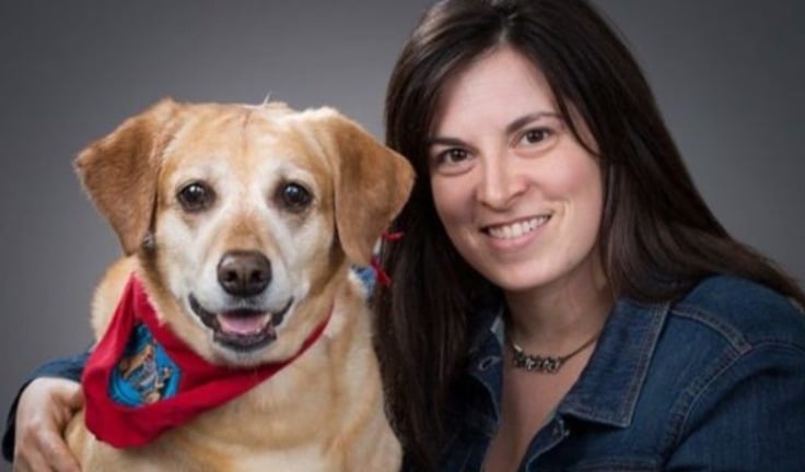 Therapy Dog Works in Dentist Office with the Coolest Job