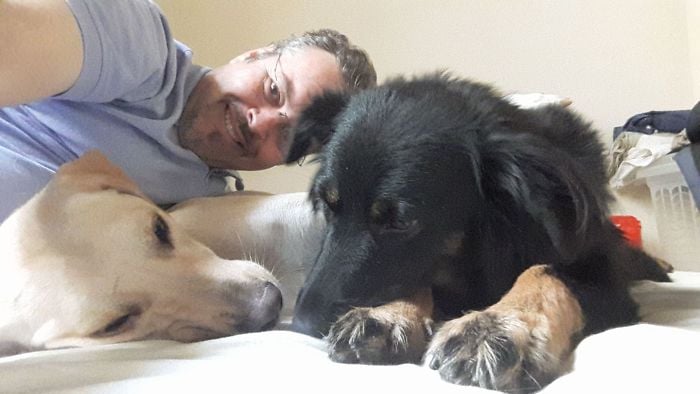 Priest Does Incredible Thing for Stray Dogs at his Church