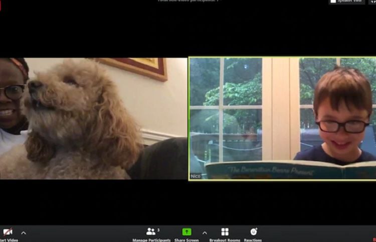 Kids Are Reading to Therapy Dogs on Zoom and it’s Adorable