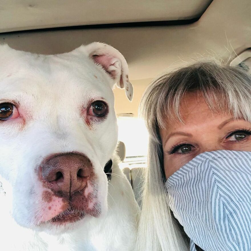 Underweight Pit Bull Found In An Abandoned Apartment Has Incredible ...