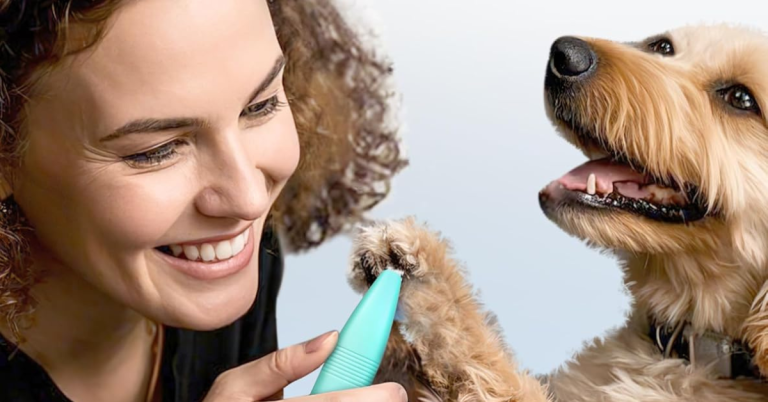 15 Paw Care Tips For Dogs With Hyperkeratosis