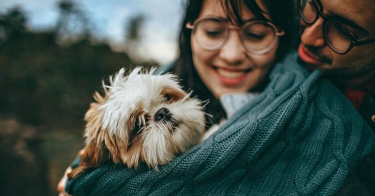 15 Fluffy Dogs Who Prefer Snuggles Over Guarding