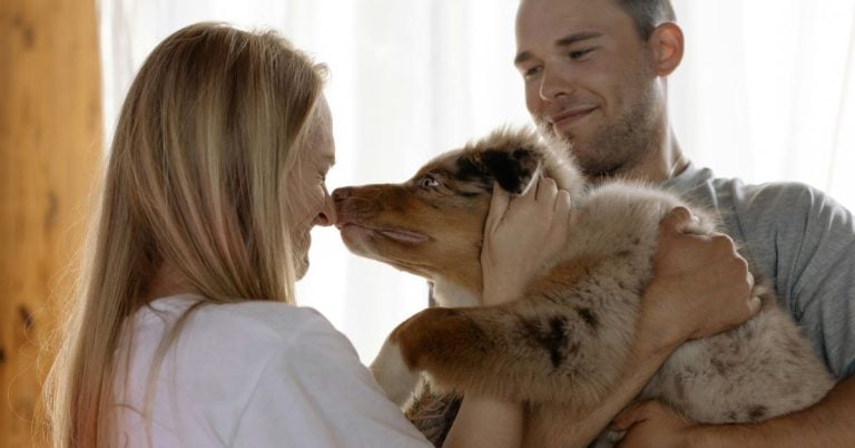 These 10 Dog Breeds Can’t Bear Being Alone