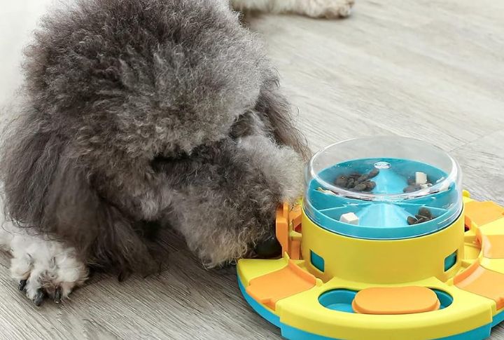 Incorporate Interactive Toys