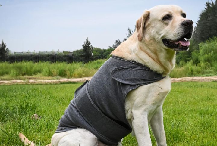 Consider A Body Wrap Or Anxiety Shirt
