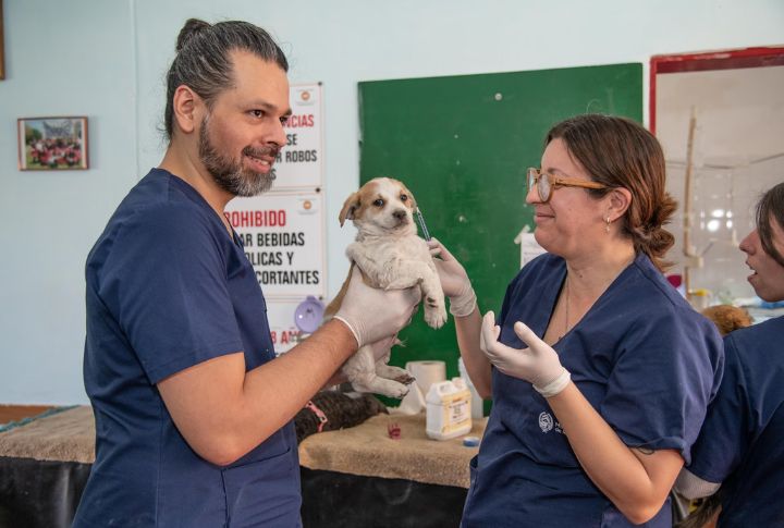 Bordetella Vaccine