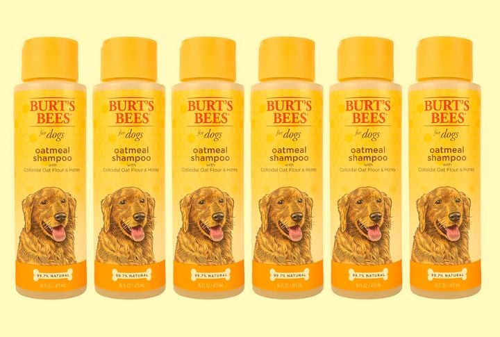 Burt’s Bees Natural Oatmeal Shampoo For Dogs