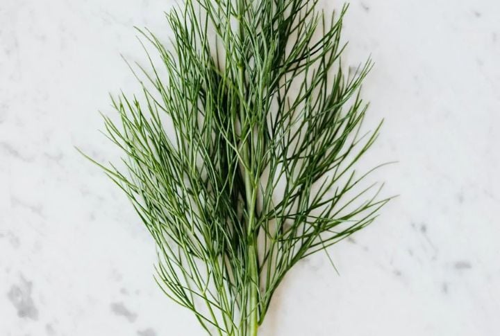 Dill