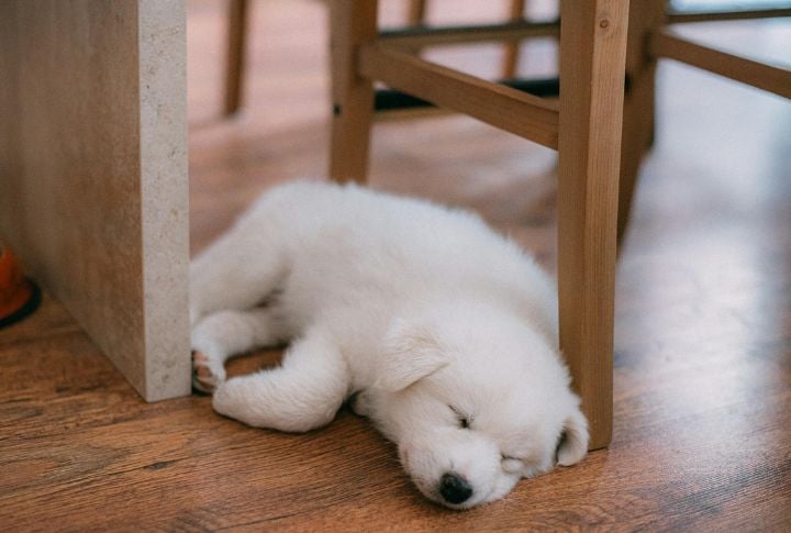 Changes In Sleeping Positions Or Locations