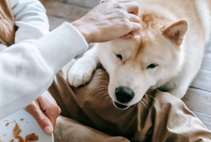 Neglecting Physical Touch And Affection
