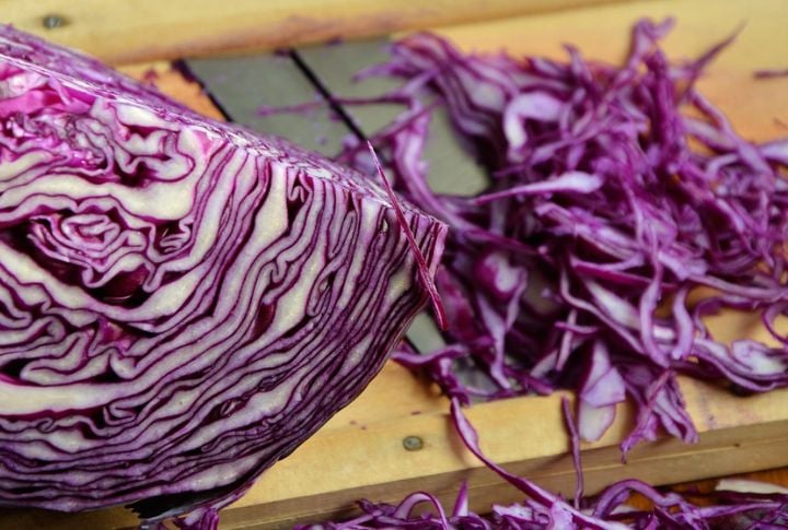 Red Cabbage