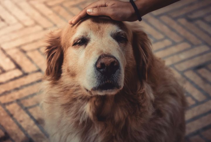 Engage In Gentle Massage