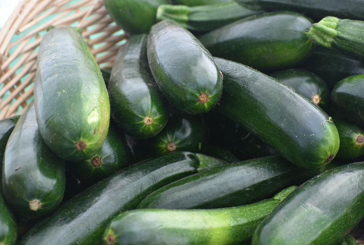 Zucchini