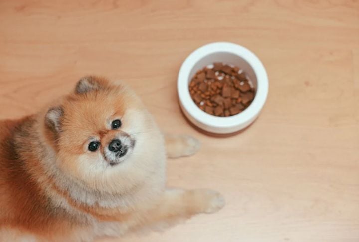 Assuming Food Is Enough Without Engagement