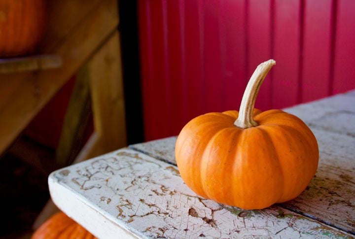 Pumpkin