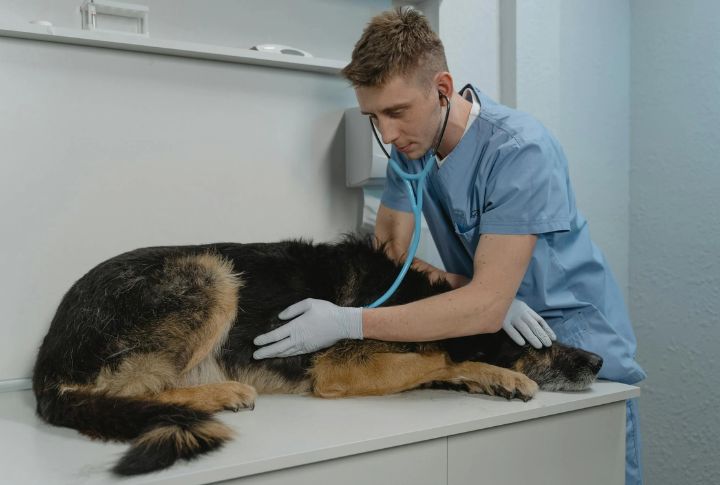Rule Out Medical Issues First
