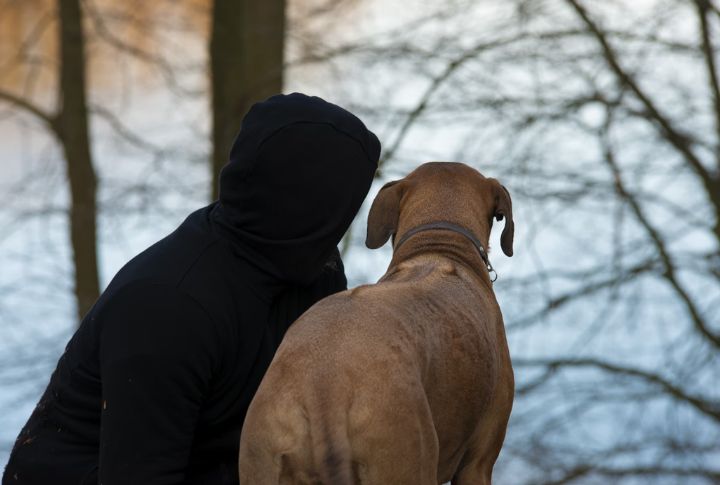 Expect A Dog With Fierce Loyalty