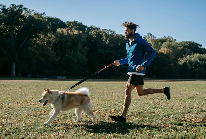 Keep Your Dog Physically Active