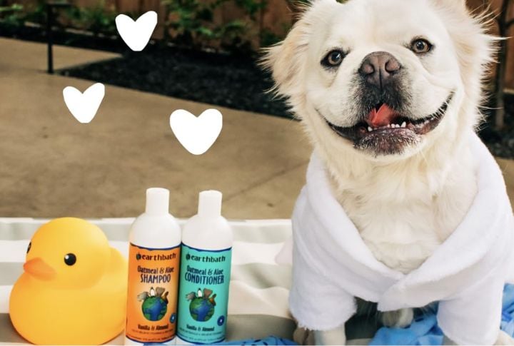 Earthbath Oatmeal & Aloe Shampoo