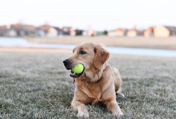 Forgetting To Play Like You Mean It