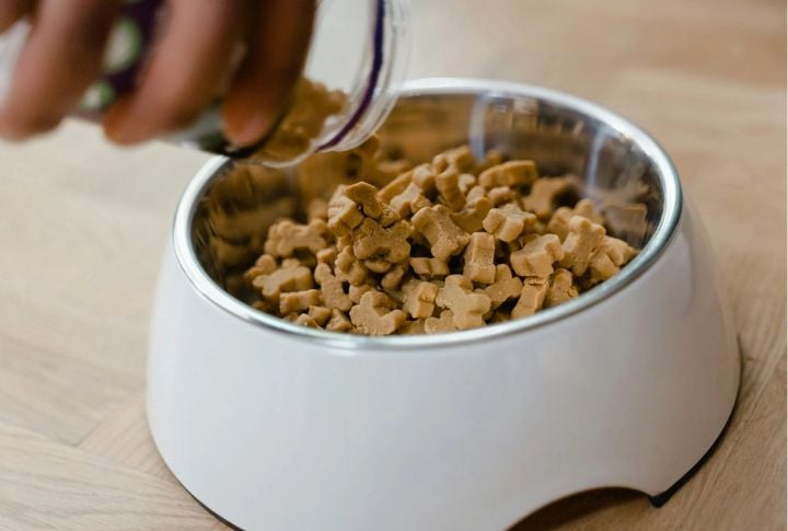 Serve Smart Portions