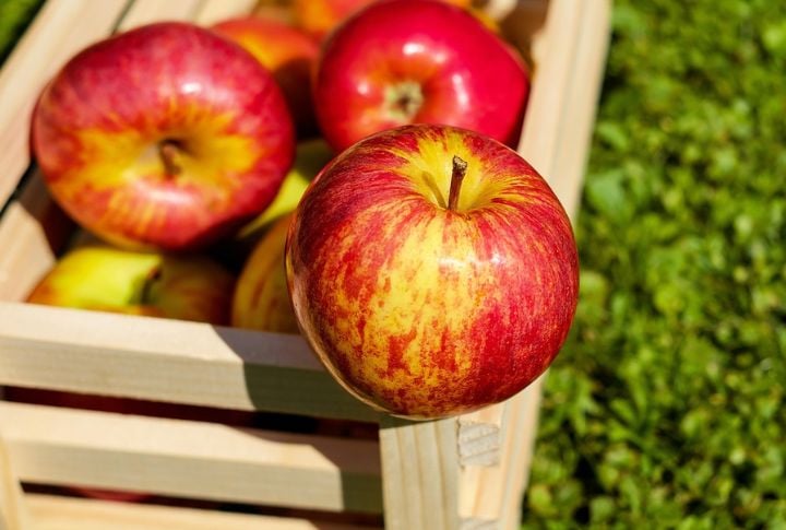 Apples (No Seeds)