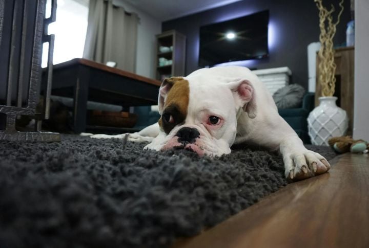 Difficulty Getting Up From Resting Positions