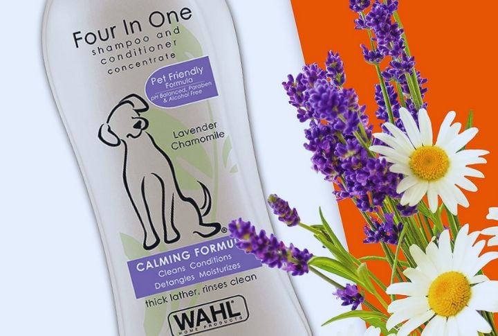 Wahl 4-In-1 Calming Pet Shampoo