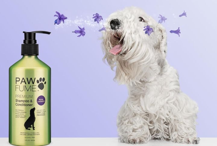 Pawfume Dog Shampoo And Conditioner