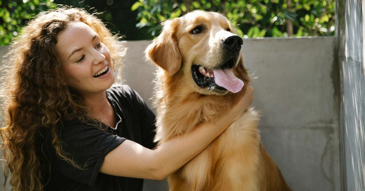 View of 15 Natural Ways To Help Calm An Anxious Dog At Home