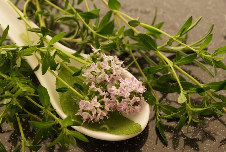 Thyme