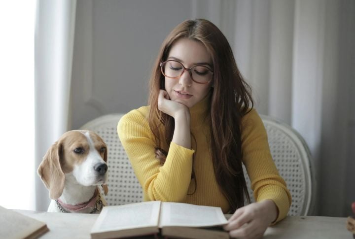 Study Reveals 15 Ways Therapy Dogs Boost Emotional Well-Being Of College Students