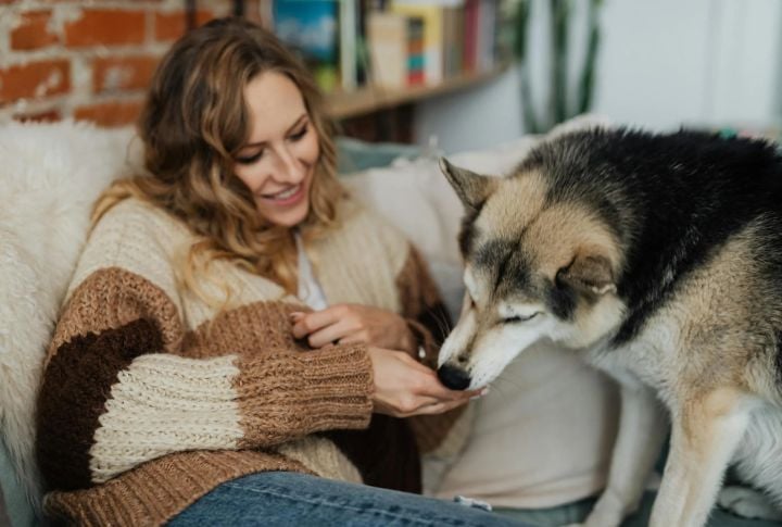 15 New Rules Dog Owners Need To Know Before Flying
