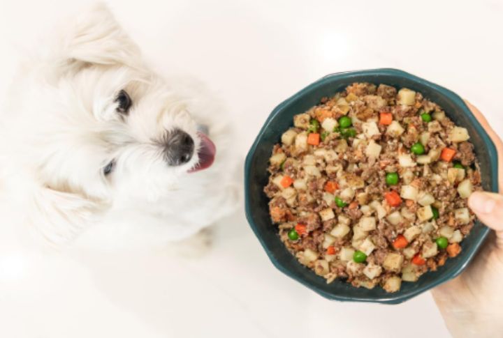 JustFoodForDogs Fresh Frozen Meals