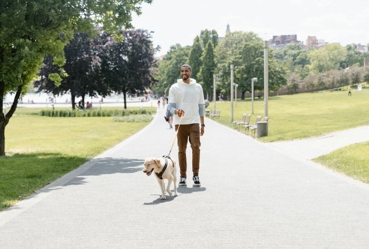 Use A Consistent Walking Route