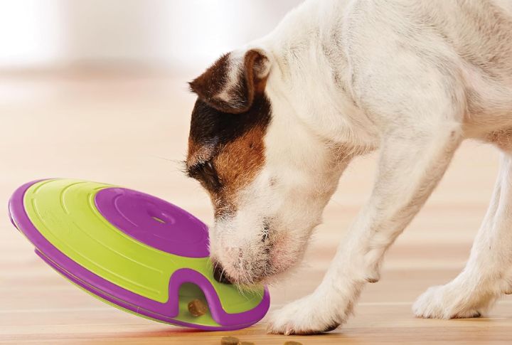 Treat Maze Toys