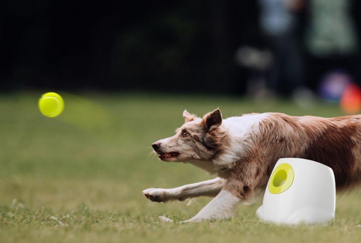 Automatic Ball Launchers