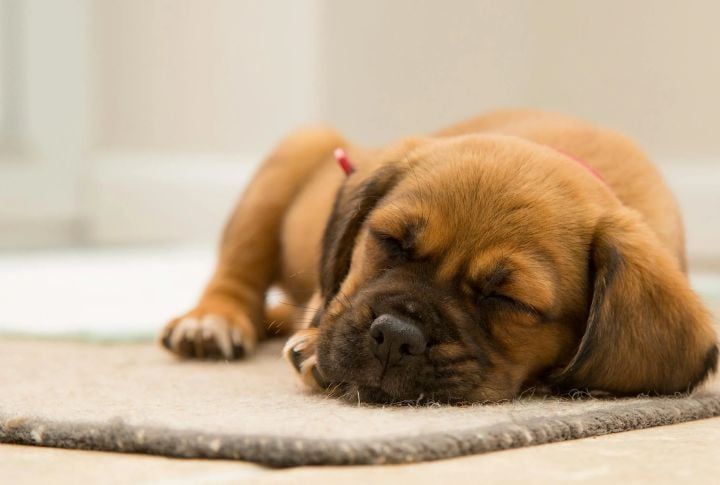 Changes In Sleeping Patterns (Sudden Or Unusual Shifts Only)
