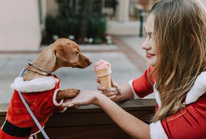 Using Food Rewards Without Limits