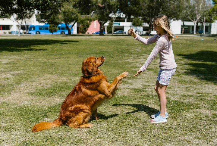 Introduce Delayed Gratification Exercises